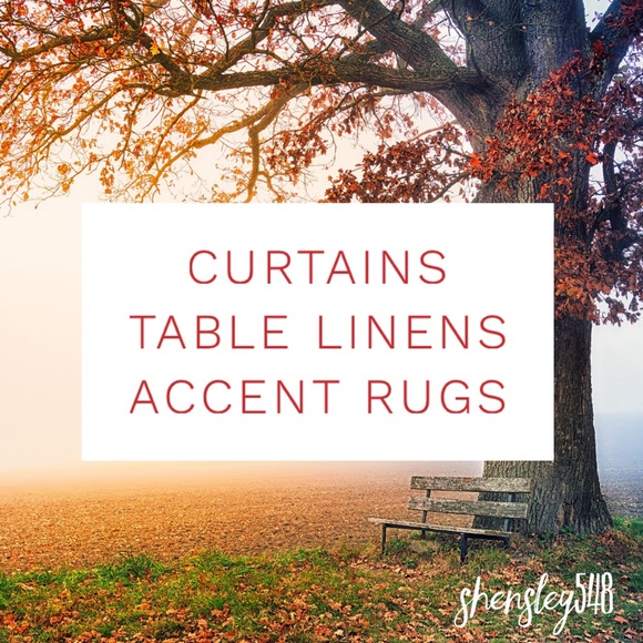 Accent Rugs, Table Linens & Curtains - Picture 3 of 6